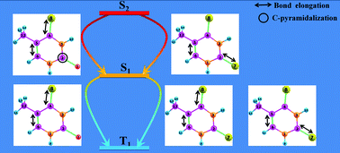 Graphical abstract: The excited-state relaxation mechanism of potential UVA-activated phototherapeutic molecules: trajectory surface hopping simulations of both 4-thiothymine and 2,4-dithiothymine