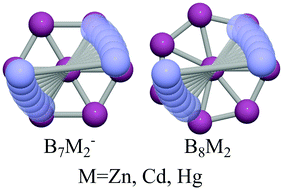 Graphical abstract: Structure and bonding of molecular stirrers with formula B7M2− and B8M2 (M = Zn, Cd, Hg)