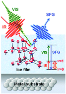 Graphical abstract: Orientational ordering in heteroepitaxial water ice on metal surfaces
