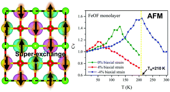 Graphical abstract: Discovery of stable and intrinsic antiferromagnetic iron oxyhalide monolayers