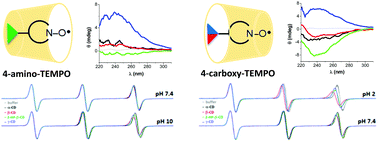 Graphical abstract: Conformational preferences of TEMPO type radicals in complexes with cyclodextrins revealed by a combination of EPR spectroscopy, induced circular dichroism and molecular modeling