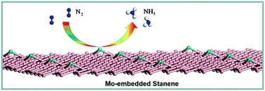 Graphical abstract: Nitrogen fixation on a single Mo atom embedded stanene monolayer: a computational study