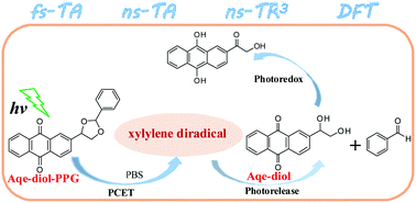 Graphical abstract: Does the photoredox reaction affect the photorelease of anthraquinone protected benzaldehyde? A time-resolved spectroscopic study