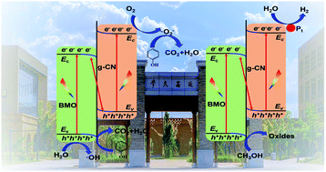 Graphical abstract: Photocatalytic performance and mechanism insights of a S-scheme g-C3N4/Bi2MoO6 heterostructure in phenol degradation and hydrogen evolution reactions under visible light
