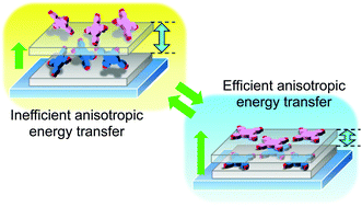 Graphical abstract: Anisotropic energy transfer in a clay–porphyrin layered system with environment-responsiveness