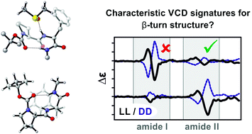 Graphical abstract: Solvation and the secondary structure of a proline-containing dipeptide: insights from VCD spectroscopy