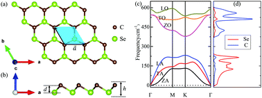 Graphical abstract: Thermal transport properties of novel two-dimensional CSe