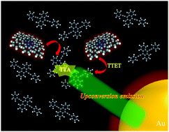 Graphical abstract: Upconverted emission-driven photothermal conversion with gold nanospheres based on triplet–triplet annihilation