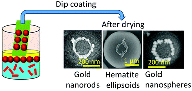 Graphical abstract: Self assembly of nanorods on microspheres at fluid–fluid interfaces