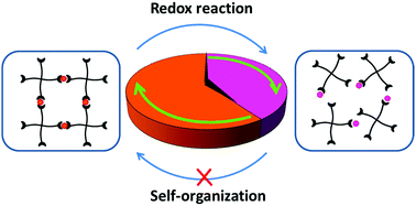 Graphical abstract: Efficiency range of the Belousov–Zhabotinsky reaction to induce the self-organization of transient bonds in metallo-supramolecular polymeric systems