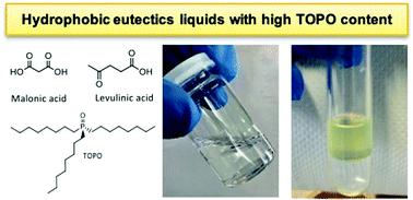 Graphical abstract: Hydrophobic functional liquids based on trioctylphosphine oxide (TOPO) and carboxylic acids