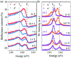 Graphical abstract: Valley polarization of singlet and triplet trions in a WS2 monolayer in magnetic fields