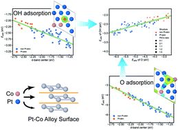 Graphical abstract: New insights into O and OH adsorption on the Pt–Co alloy surface: effects of Pt/Co ratios and structures