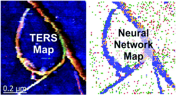Graphical abstract: Deciphering tip-enhanced Raman imaging of carbon nanotubes with deep learning neural networks