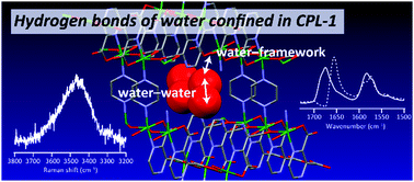Graphical abstract: Interactions of water confined in a metal–organic framework as studied by a combined approach of Raman, FTIR, and IR electroabsorption spectroscopies and multivariate curve resolution analysis