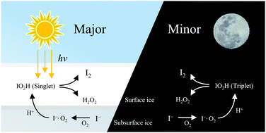 Graphical abstract: Entangled iodine and hydrogen peroxide formation in ice