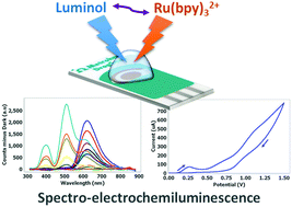 Graphical abstract: Understanding the ECL interaction of luminol and Ru(bpy)32+ luminophores by spectro-electrochemiluminescence