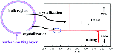 Graphical abstract: Unique phase behavior of a room-temperature ionic liquid, trimethylpropylammonium bis(fluorosulfonyl)amide: surface melting and its crystallization