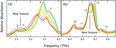 Graphical abstract: Identifying and explaining vibrational modes of quinacridones via temperature-resolved terahertz spectroscopy: absorption experiments and solid-state density functional theory simulations