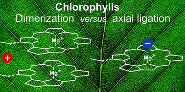 Graphical abstract: Color tuning of chlorophyll a and b pigments revealed from gas-phase spectroscopy