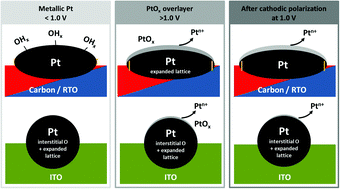 Graphical abstract: Anisotropy of Pt nanoparticles on carbon- and oxide-support and their structural response to electrochemical oxidation probed by in situ techniques