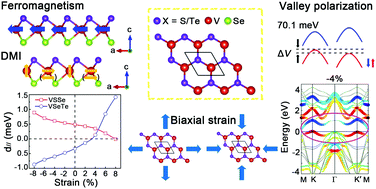 Graphical abstract: Tunable valley polarization, magnetic anisotropy and Dzyaloshinskii–Moriya interaction in two-dimensional intrinsic ferromagnetic Janus 2H-VSeX (X = S, Te) monolayers