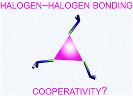 Graphical abstract: Halogen-bonded haloamine trimers – modelling the X3 synthon
