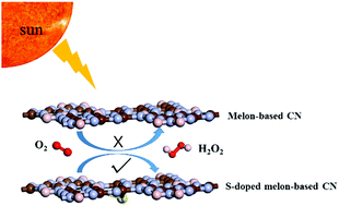 Graphical abstract: Unraveling the mechanisms of S-doped carbon nitride for photocatalytic oxygen reduction to H2O2