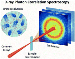 Graphical abstract: Towards molecular movies with X-ray photon correlation spectroscopy