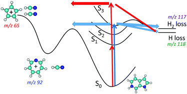Graphical abstract: Influence of the N atom position on the excited state photodynamics of protonated azaindole