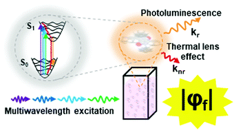 Graphical abstract: True absolute determination of photoluminescence quantum yields by coupling multiwavelength thermal lens and photoluminescence spectroscopy