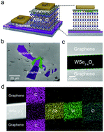 Graphical abstract: Flexible full two-dimensional memristive synapses of graphene/WSe2−xOy/graphene