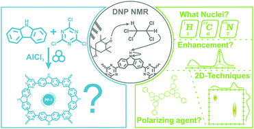 Graphical abstract: A comprehensive approach for the characterization of porous polymers using 13C and 15N dynamic nuclear polarization NMR spectroscopy