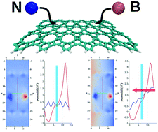Graphical abstract: Graphenylene-based nanoribbons for novel molecular electronic devices