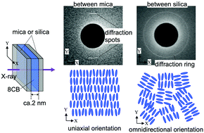 Graphical abstract: Effects of surface and shear forces on nano-confined smectic-A liquid crystals studied by X-ray diffraction