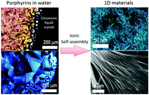 Graphical abstract: 1D materials from ionic self-assembly in mixtures containing chromonic liquid crystal mesogens