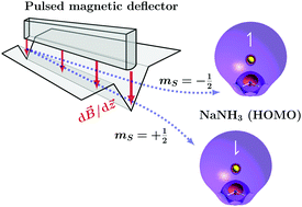 Graphical abstract: Magnetic deflection of neutral sodium-doped ammonia clusters