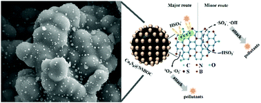 Graphical abstract: HPO42− enhanced catalytic activity of N, S, B, and O-codoped carbon nanosphere-armored Co9S8 nanoparticles for organic pollutants degradation via peroxymonosulfate activation: critical roles of superoxide radical, singlet oxygen and electron transfer