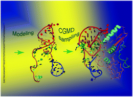 Graphical abstract: Predicting the aptamer SYL3C–EpCAM complex's structure with the Martini-based simulation protocol