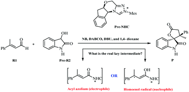 Graphical abstract: N-Heterocyclic carbene (NHC)-catalyzed oxidative [3+2] annulation of dioxindoles and enals: mechanism, role of NHC, role of a mixture of bases with different strength, and origin of stereoselectivity