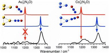 Graphical abstract: Infrared action spectroscopy of nitrous oxide on cationic gold and cobalt clusters