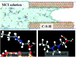 Graphical abstract: Structure, dynamics and transport behavior of migrating corrosion inhibitors on the surface of calcium silicate hydrate: a molecular dynamics study
