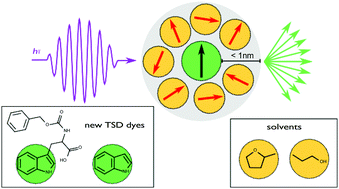 Graphical abstract: Triplet state solvation dynamics: extending the accessible timescale by using indole as local probe