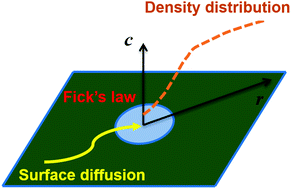 Graphical abstract: Theoretical description of molecular permeation via surface diffusion through graphene nanopores
