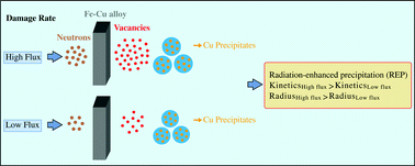 Graphical abstract: Phase-field simulation of dose rate effect on the Cu precipitation with neutron irradiation