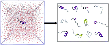 Graphical abstract: Recent advances in atomic molecular dynamics simulation of intrinsically disordered proteins
