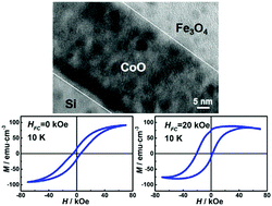 Graphical abstract: Giant exchange bias induced via tuning interfacial spins in polycrystalline Fe3O4/CoO bilayers