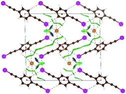 Graphical abstract: Interplay between non-covalent interactions in 1D supramolecular polymers based on 1,4-bis(iodoethynyl)benzene