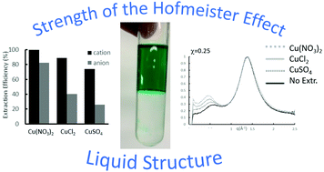 Graphical abstract: Relationship between liquid nanoscale structure in solvents and the strength of the Hofmeister effect in extraction experiments
