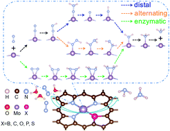 Graphical abstract: Boosting electrochemical nitrogen reduction reaction performance of two-dimensional Mo porphyrin monolayers via turning the coordination environment